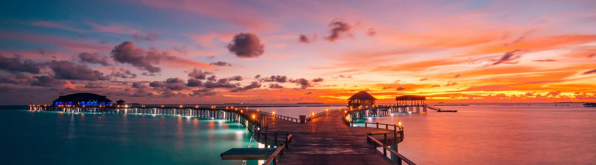 Team Page Background