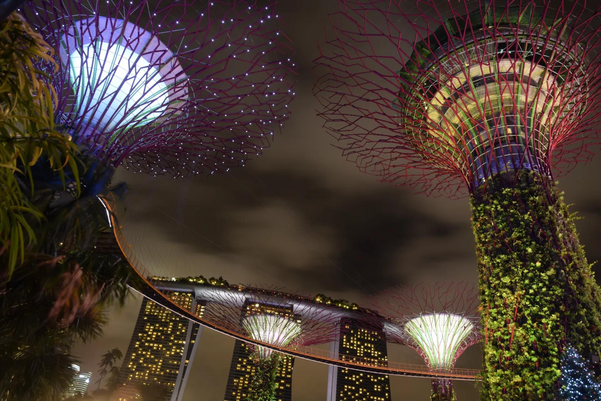 Singapore Tour Package from Bangladesh | Naria Holidays view 2