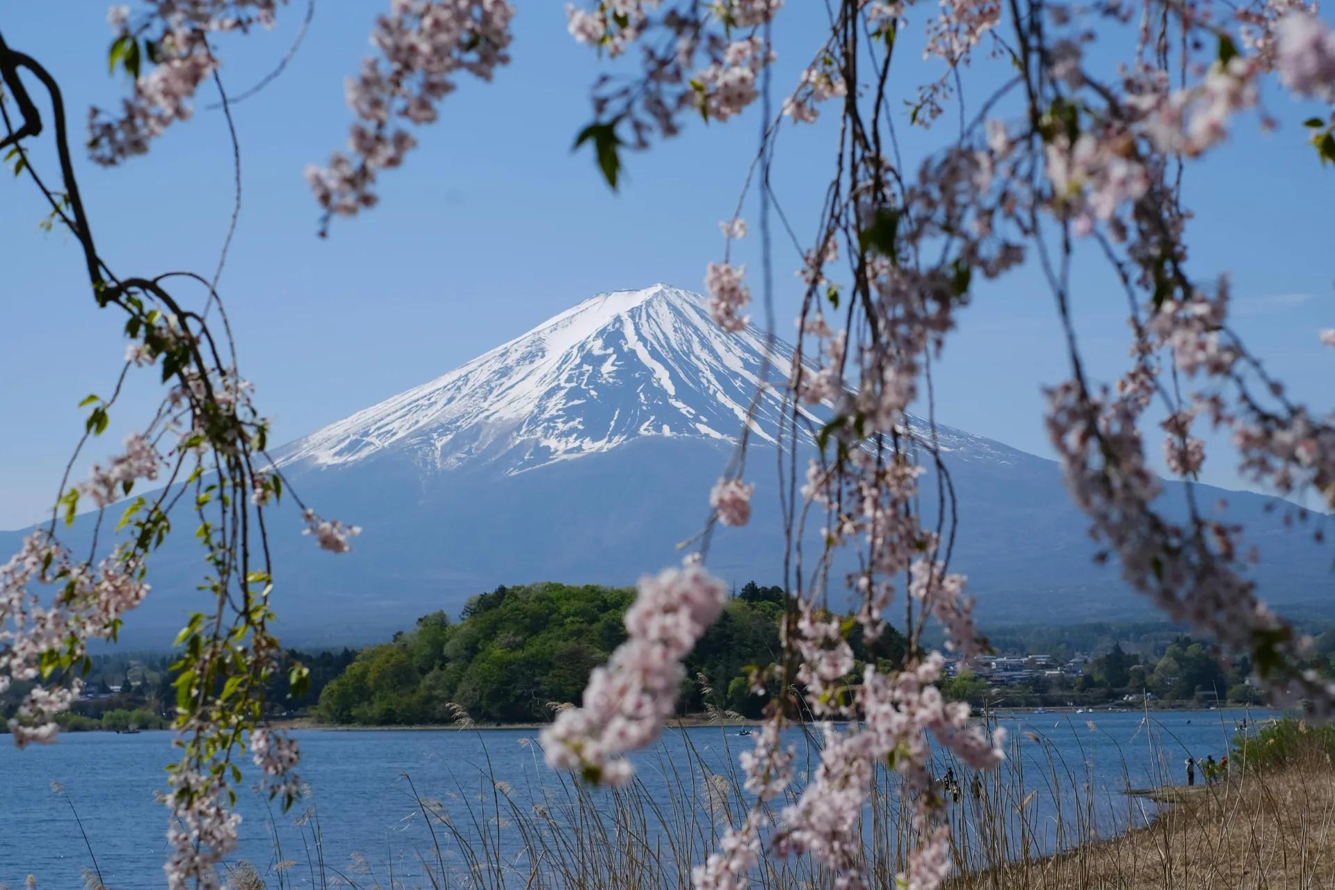 Japan Tour Package from Bangladesh: Cost & Best Time to Visit (2026)