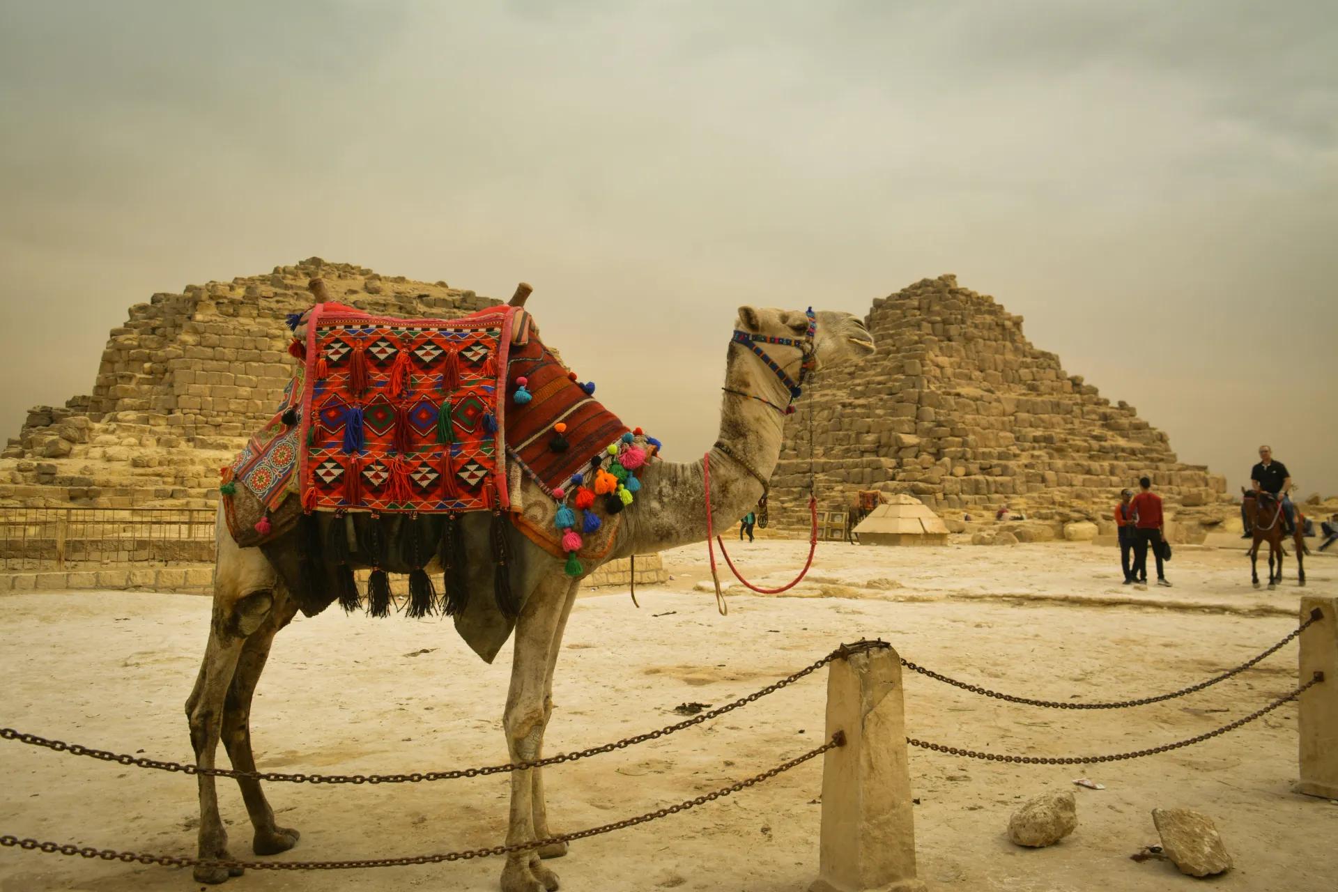 Plan Your Perfect 7-Day Cairo Luxor Tour Package Today