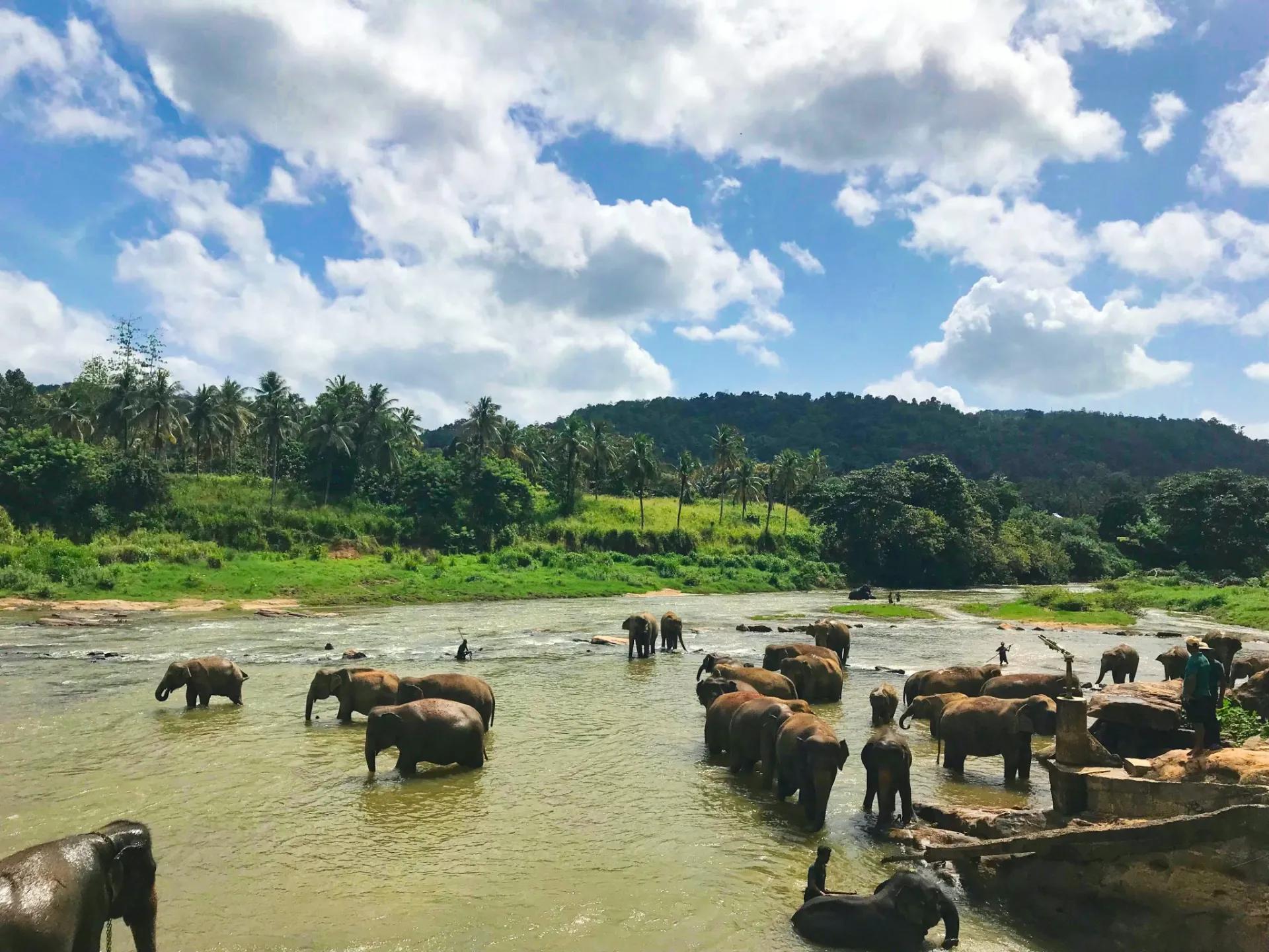 Affordable Sri Lanka Tour Package from Bangladesh view 2