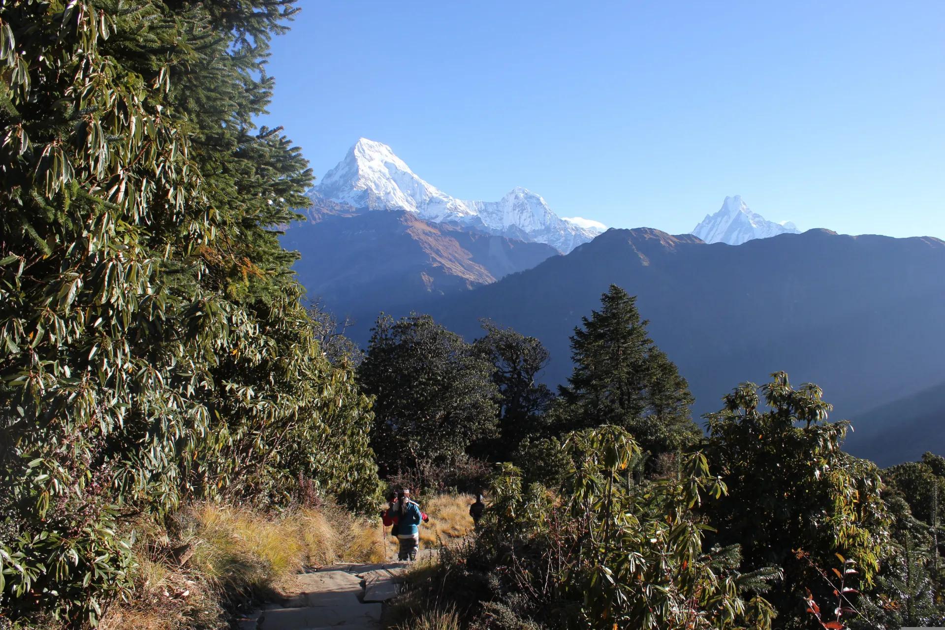 Nepal Tour Package from Bangladesh | Budget Deals | Naria Holidays view 3