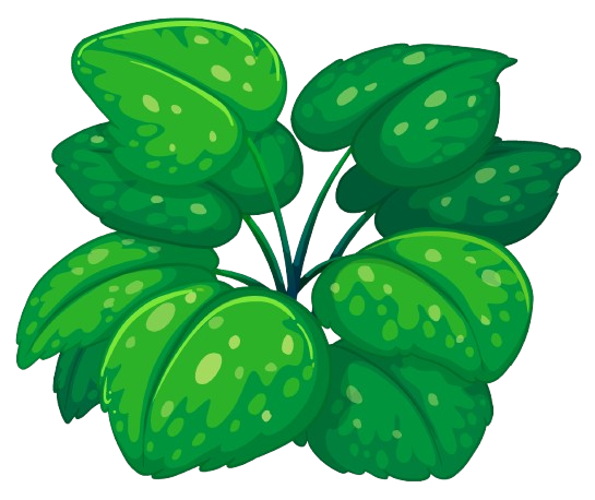 Tree decoration
